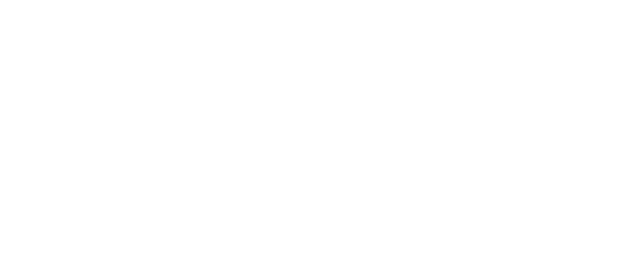 Roadex
